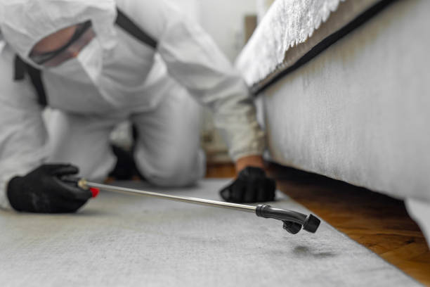 Professional Termite Control technician working in Florida Ridge, FL